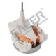Stepper Motor for Subaru, Honda,Toyota - Corolla,Mazda 6